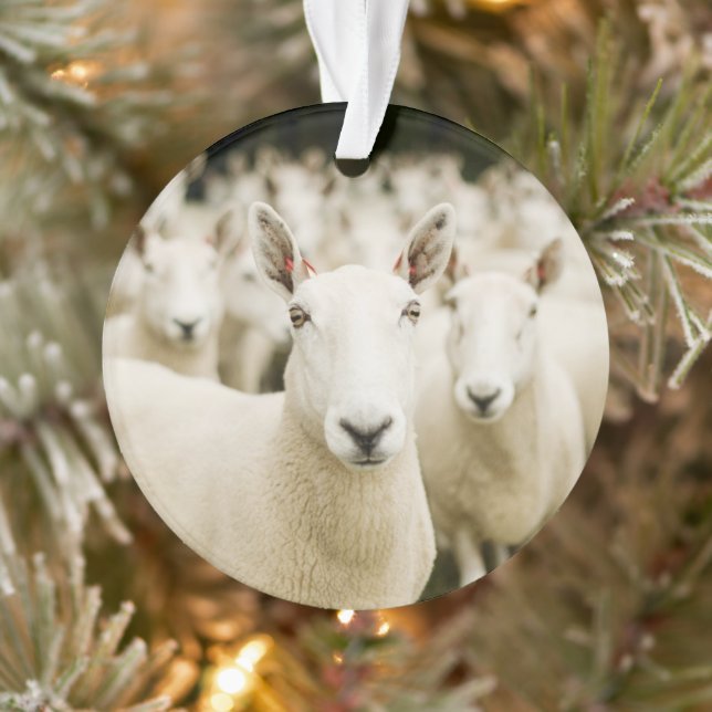 Farms | Herd of Sheep Ornament (Tree)