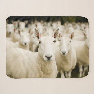 Farms   Herd of Sheep Sherpa Blanket