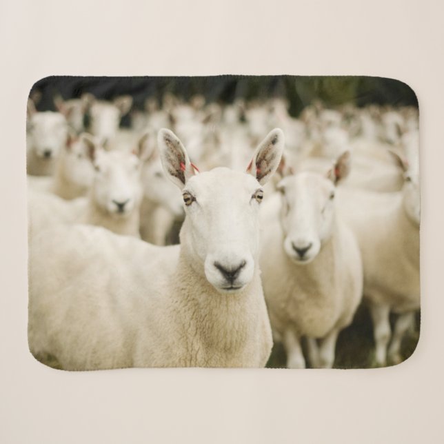 Farms | Herd of Sheep Sherpa Blanket (Front (Horizontal))