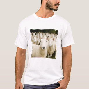 Farms   Herd of Sheep T-Shirt