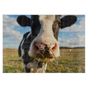 Farms   Holstein Cow Chewing Cutting Board