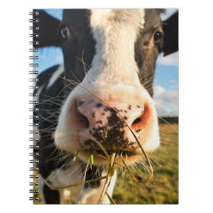 Farms Holstein Cow Chewing Notebook
