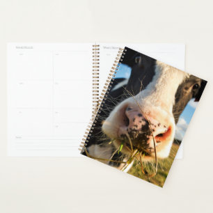 Farms   Holstein Cow Chewing Planner