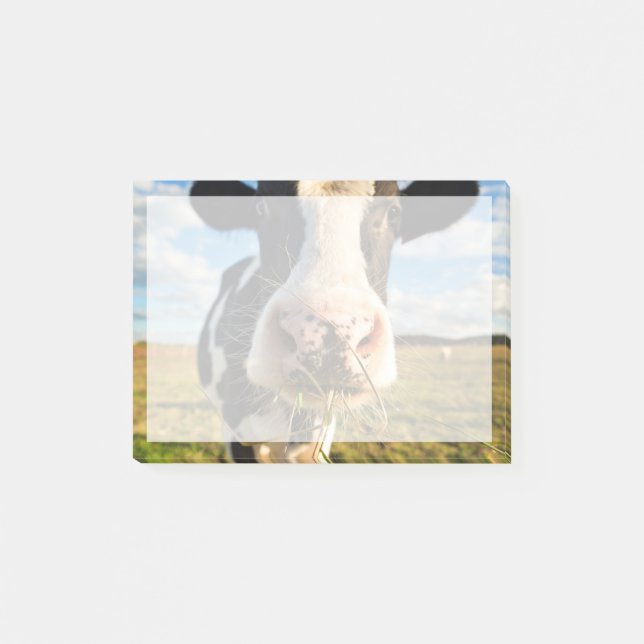 Farms | Holstein Cow Chewing Post-it Notes (Front)