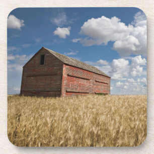Farms Old Red Barn in Wheat Field Coaster