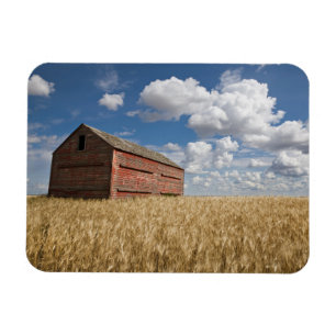 Farms   Old Red Barn in Wheat Field Magnet