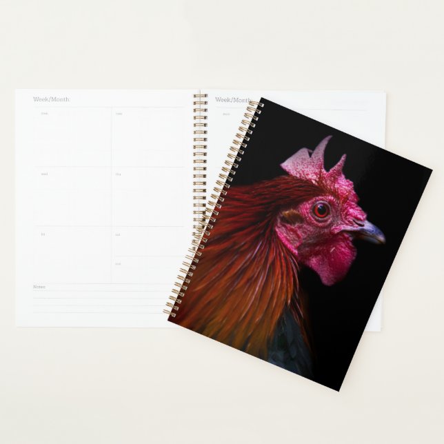 Farms | Rooster Head Shot Planner (Display)