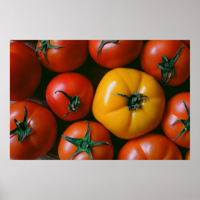 Farms | Shiny Red & Yellow Tomatoes Poster (Front)