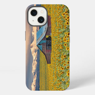 Farms Sunflower Field iPhone 13 Case