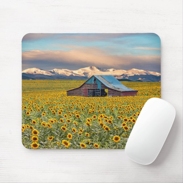 Farms | Sunflower Field Mouse Pad (With Mouse)