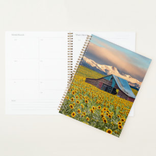 Farms   Sunflower Field Planner