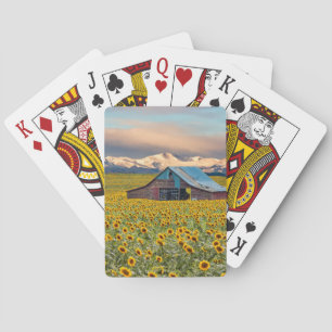 Farms   Sunflower Field Playing Cards