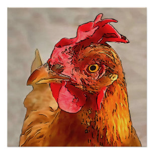 Farmyard Chicken Portrait Black Outline Art Poster