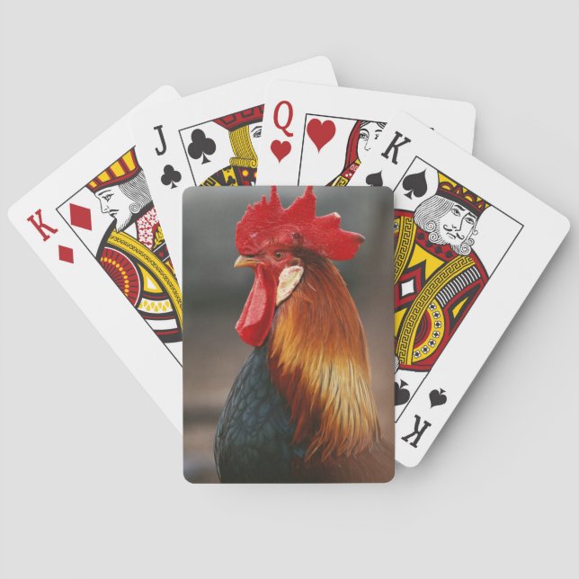Farmyard Domestic Rooster Playing Cards (Back)