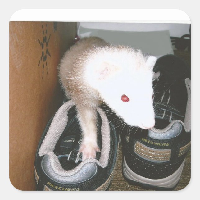 Farret and the shose square sticker (Front)