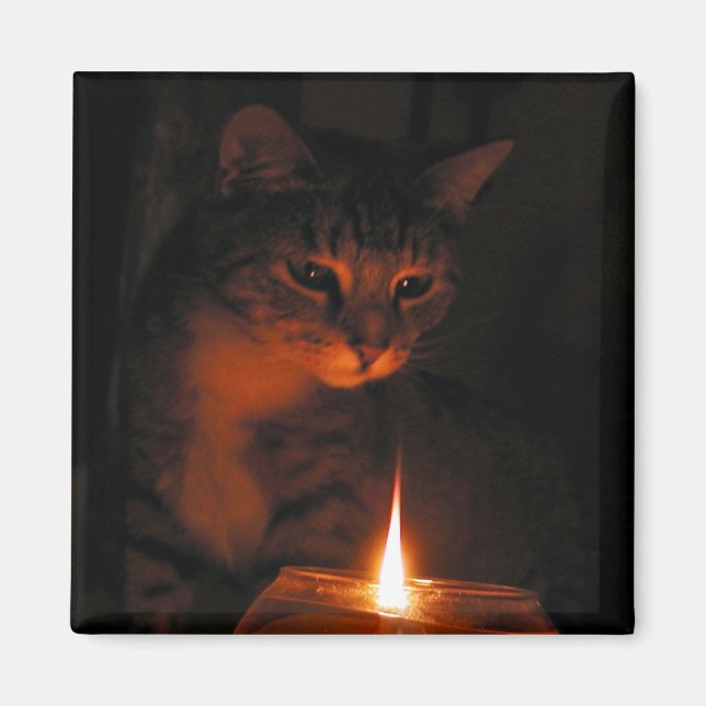 fascinated by flame magnet (Front)