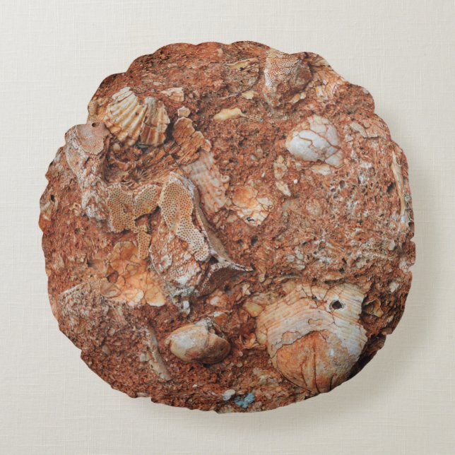 Fascinating Fossils Round Pillow (Front)