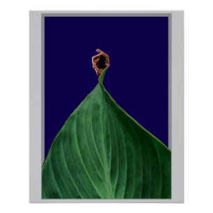 Fashion and Nature Poster