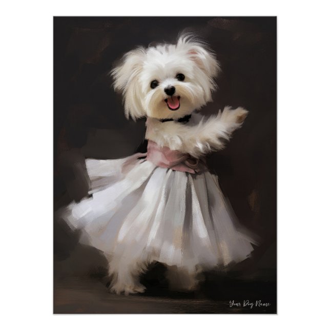 Fashion Show, Maltese Dog 01 - Jonathan Bonheur Poster (Front)