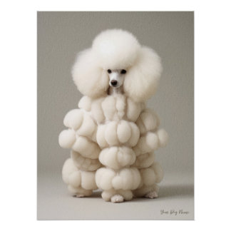 Fashion Show, Poodle Dog 02 - Jonathan Bonheur Poster