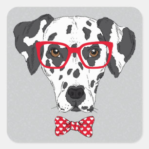 Fashionable Dalmatian Square Sticker