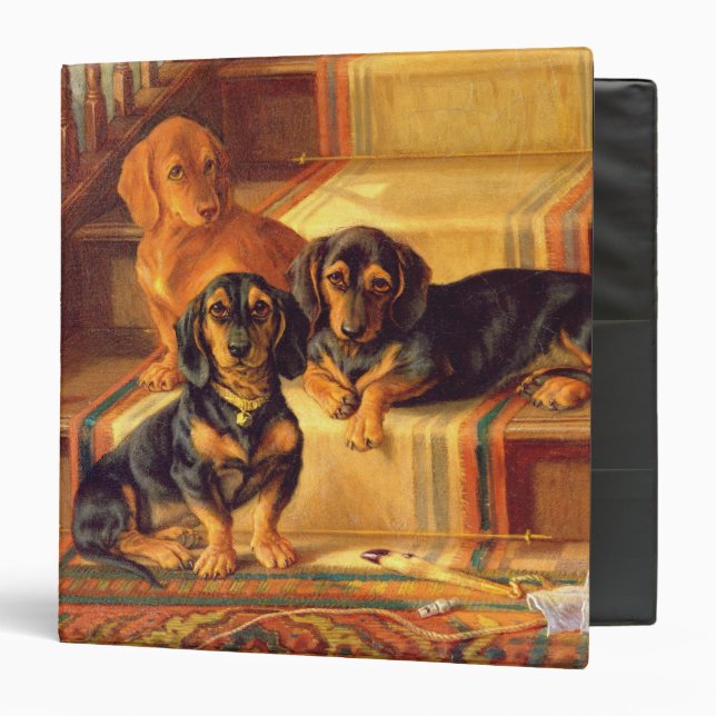 Fashionable Refinities Binder (Front/Inside)