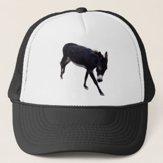 Fast A** Hat