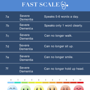 FAST Dementia Scale / Hospice Cheats Badge