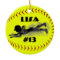 Fastpitch Softball Ornament