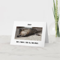 Fat cat ate the birthday cake!