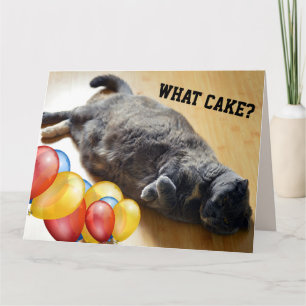 FAT CAT ATE THE CAKE FUNNY BIG BIRTHDAY CARDS 