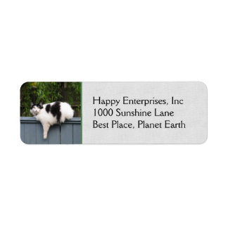 Fat Cat On Fence