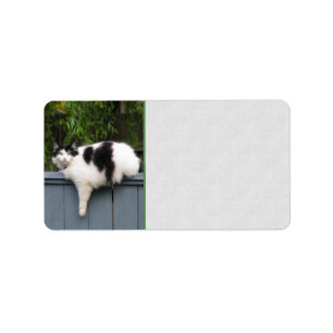 Fat Cat On Fence Label
