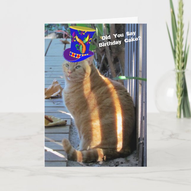 Fat Chat Funny Plié Carte de voeux (Devant)