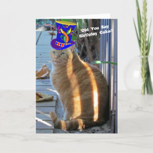 Fat Chat Funny Plié Carte de voeux