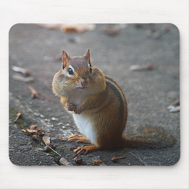 Fat Cheeks Mousepad (Front)