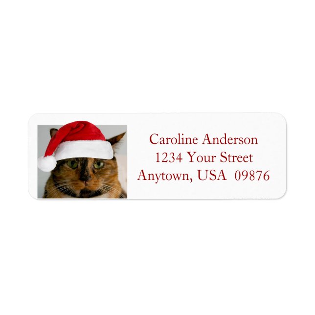Fat Holiday Cat, Personalized Return Address (Front)