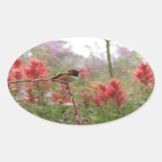 Fat little bird oval sticker
