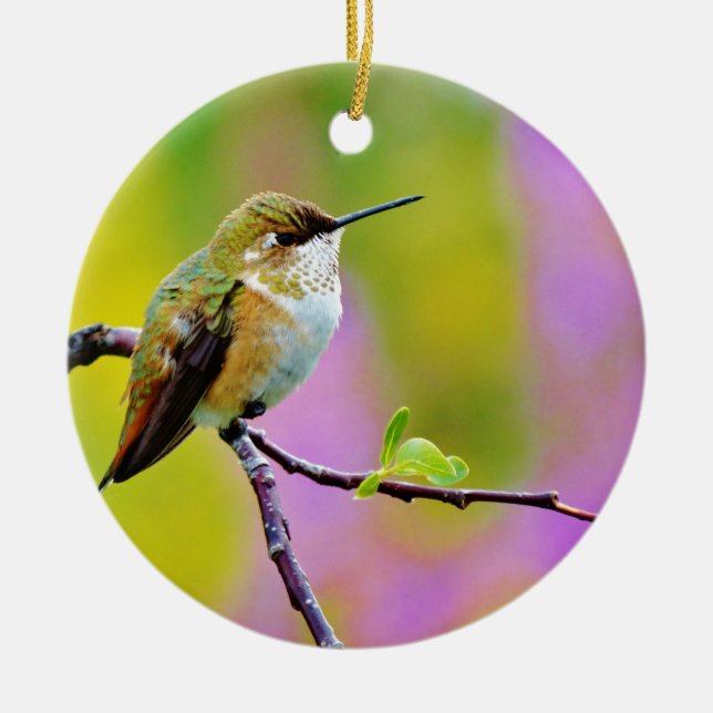 Fat little  Hummingbird Ceramic Ornament (Front)
