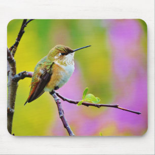 Fat little  Hummingbird Mouse Pad