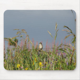 Fat little Hummingbird Mouse Pad