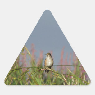 Fat little Hummingbird Triangle Sticker