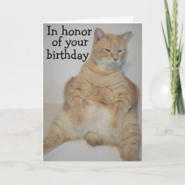 Fat Manx Chat assis drôle Carte d'anniversaire