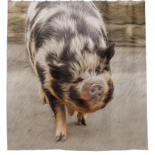 Fat pig