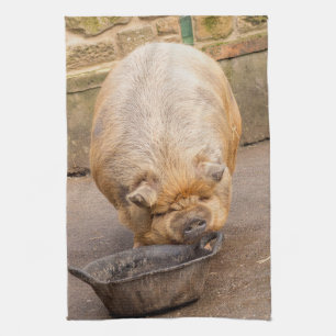 Fat pig kitchen towel