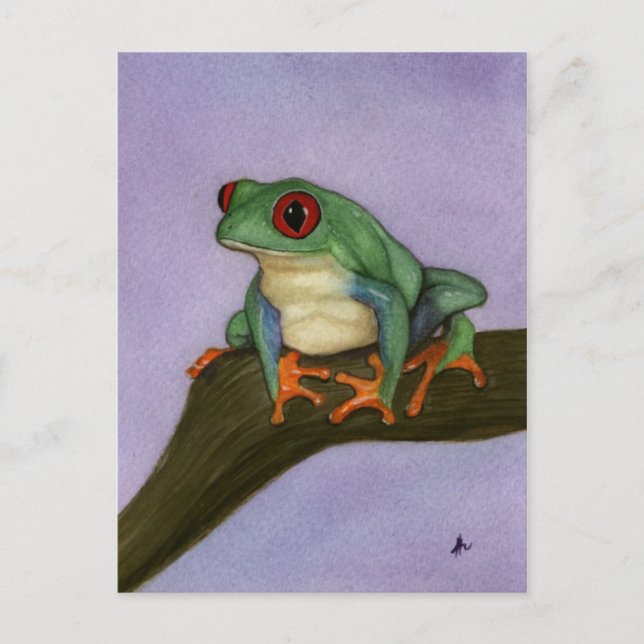Fat Red Eyed Tree Frog Postcard (Front)