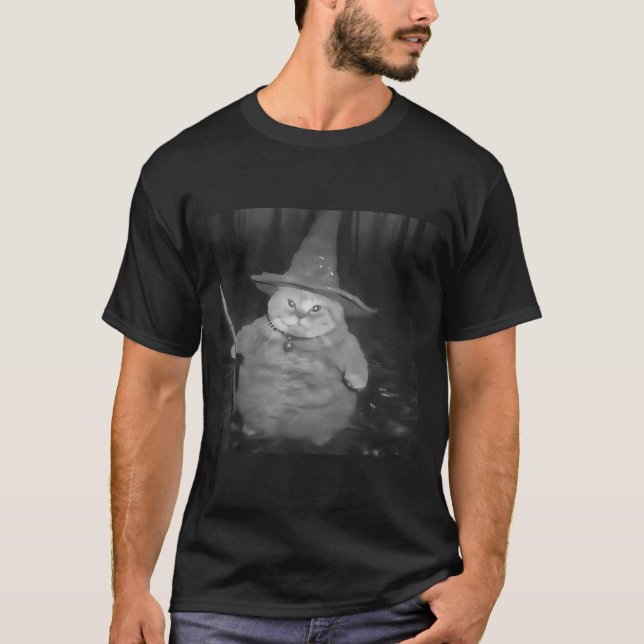 Fat Wizard Cat Fat Kitten Wizard Funny Cat Meme Br T-Shirt (Front)