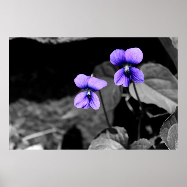 Fatal Violet Poster (Front)