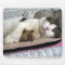 FATBOY BABUSHKA MOUSEPAD