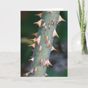 "Father's Day" Are You Ready? Card